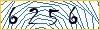Type the numbers that you see in the picture