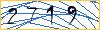 Type the numbers that you see in the picture