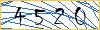 Type the numbers that you see in the picture