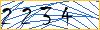 Type the numbers that you see in the picture