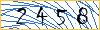 Type the numbers that you see in the picture