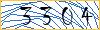 Type the numbers that you see in the picture