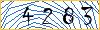 Type the numbers that you see in the picture