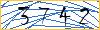 Type the numbers that you see in the picture