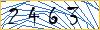 Type the numbers that you see in the picture