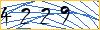 Type the numbers that you see in the picture