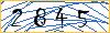 Type the numbers that you see in the picture