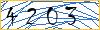 Type the numbers that you see in the picture