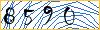 Type the numbers that you see in the picture