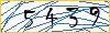 Type the numbers that you see in the picture
