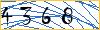Type the numbers that you see in the picture