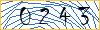 Type the numbers that you see in the picture