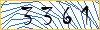 Type the numbers that you see in the picture