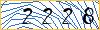 Type the numbers that you see in the picture