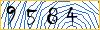Type the numbers that you see in the picture