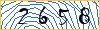 Type the numbers that you see in the picture