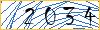 Type the numbers that you see in the picture