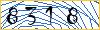 Type the numbers that you see in the picture