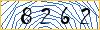 Type the numbers that you see in the picture