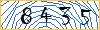 Type the numbers that you see in the picture