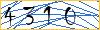 Type the numbers that you see in the picture