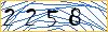 Type the numbers that you see in the picture
