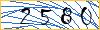 Type the numbers that you see in the picture