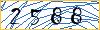 Type the numbers that you see in the picture