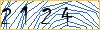 Type the numbers that you see in the picture