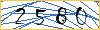 Type the numbers that you see in the picture