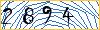 Type the numbers that you see in the picture