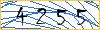 Type the numbers that you see in the picture