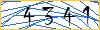 Type the numbers that you see in the picture