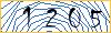 Type the numbers that you see in the picture