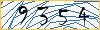 Type the numbers that you see in the picture