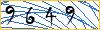Type the numbers that you see in the picture