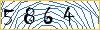 Type the numbers that you see in the picture