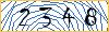 Type the numbers that you see in the picture