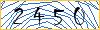 Type the numbers that you see in the picture