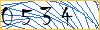 Type the numbers that you see in the picture