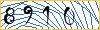 Type the numbers that you see in the picture