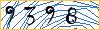 Type the numbers that you see in the picture