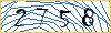 Type the numbers that you see in the picture