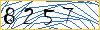 Type the numbers that you see in the picture