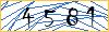 Type the numbers that you see in the picture
