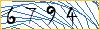 Type the numbers that you see in the picture