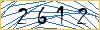 Type the numbers that you see in the picture