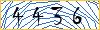 Type the numbers that you see in the picture