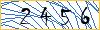 Type the numbers that you see in the picture