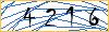 Type the numbers that you see in the picture
